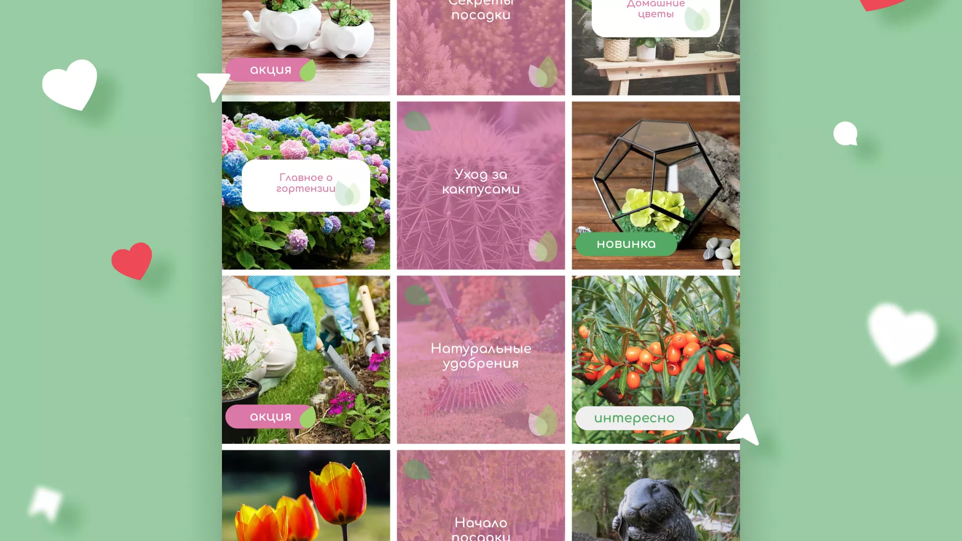 Разработка оформления профиля Instagram для магазина «Floraint» в Знаменске